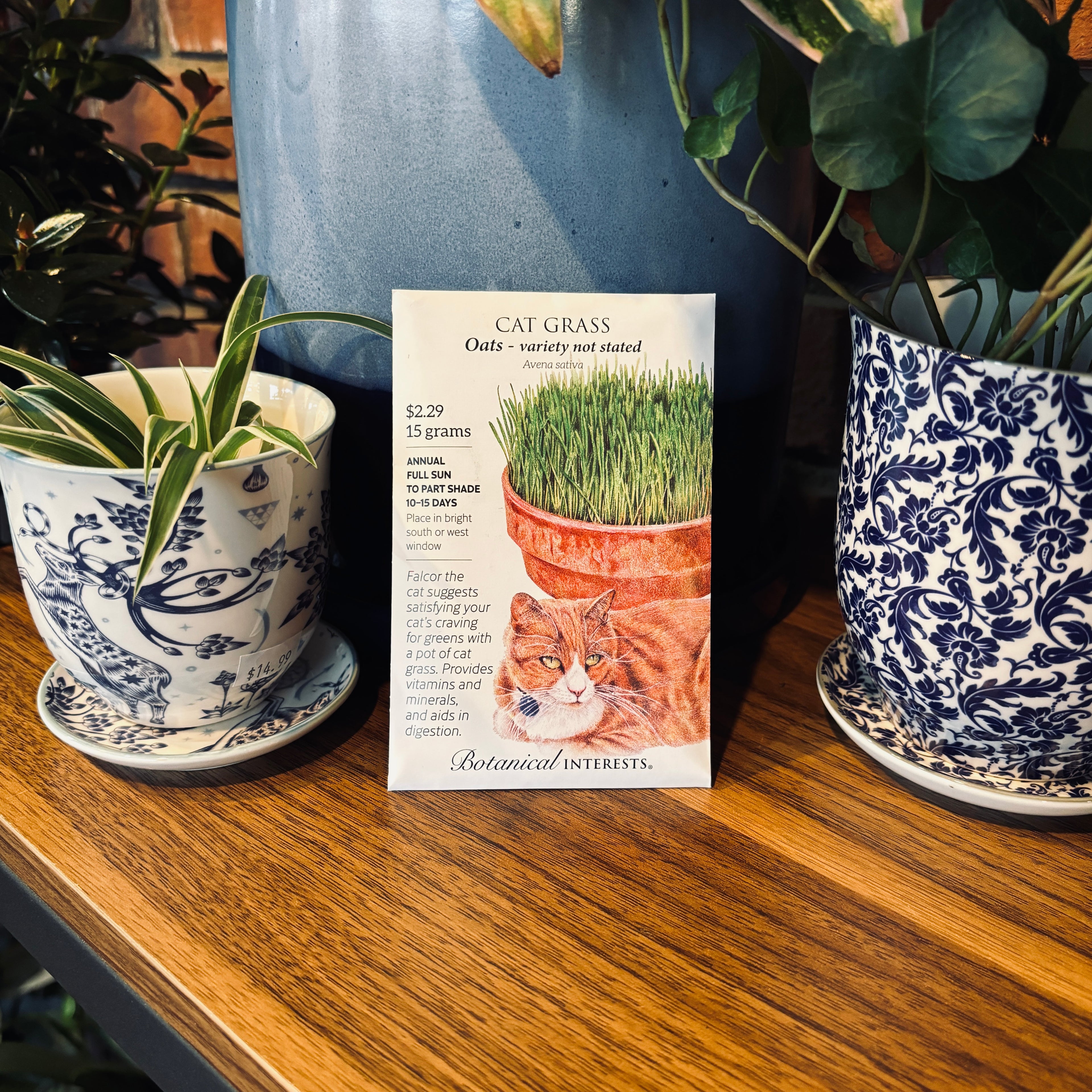 Cat Grass Oats