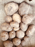Superior Organic Seed Potato