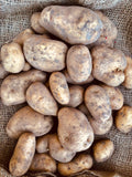 Carola Organic Seed Potato