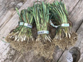 Leek Sets