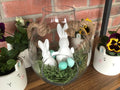 Easter Terrarium Special