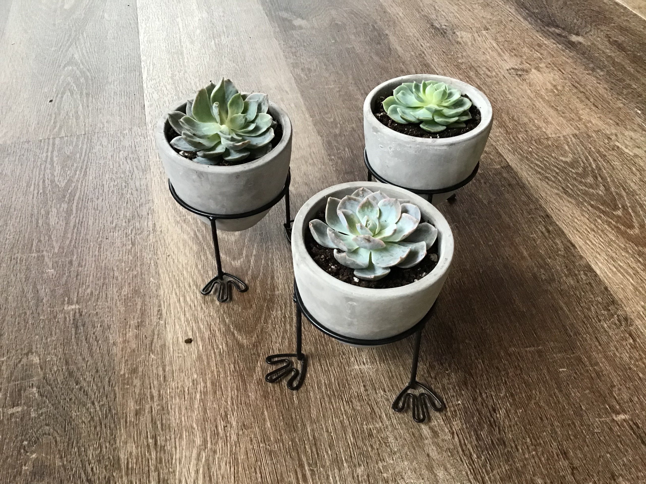 Happy Feet Succulent Planter