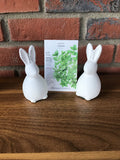Mint, Common