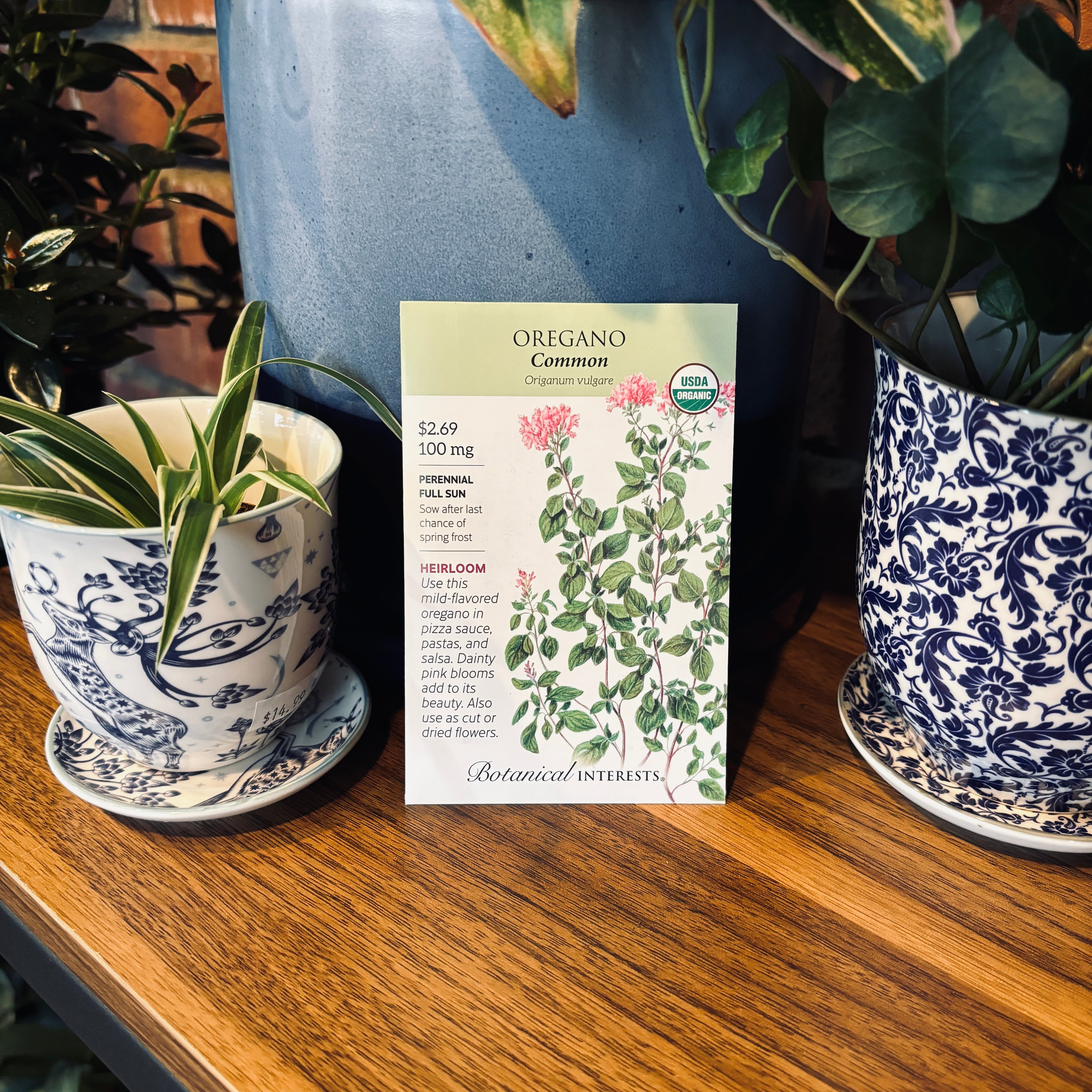 Oregano Common Organic
