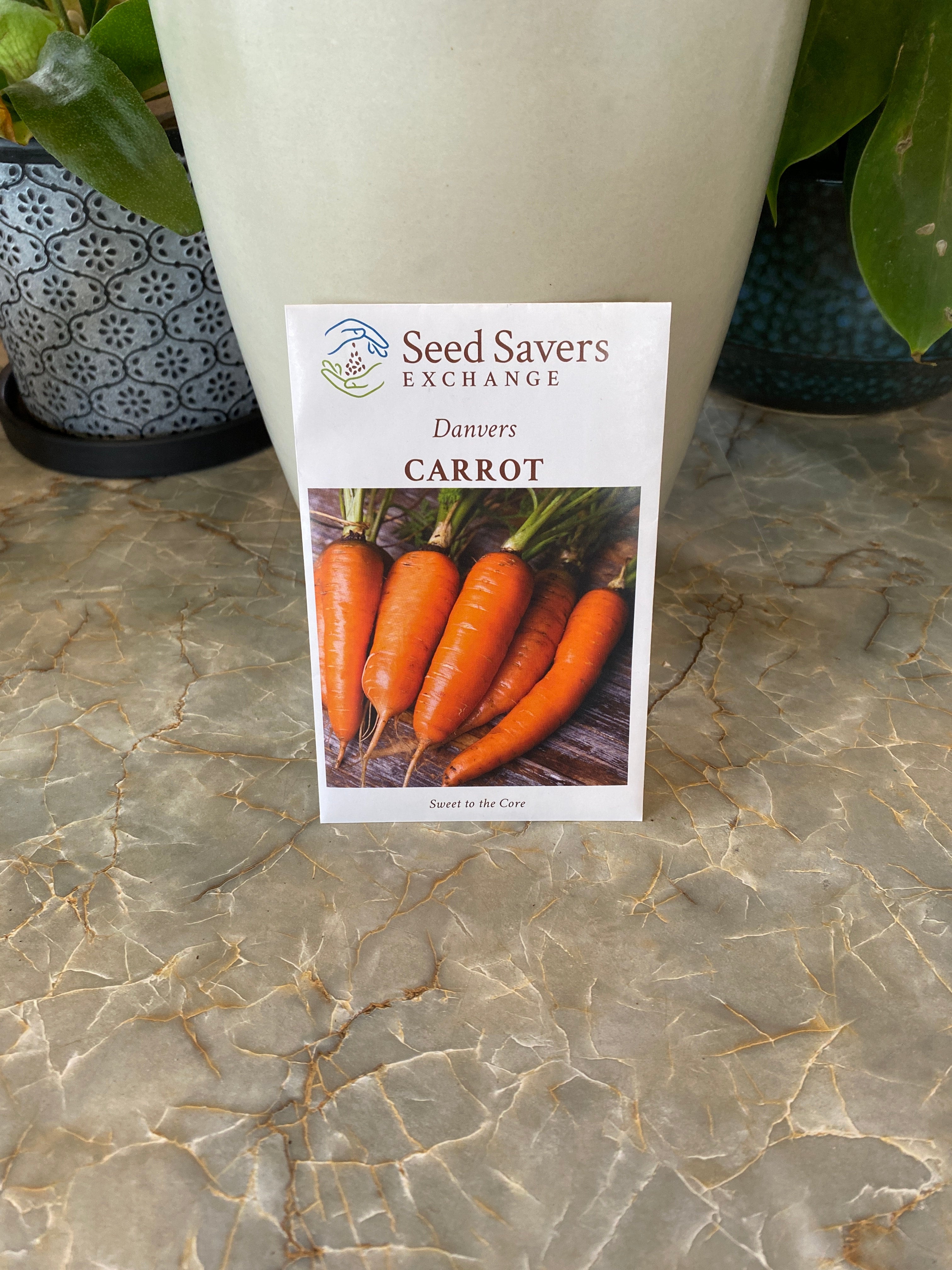 Carrot Danvers