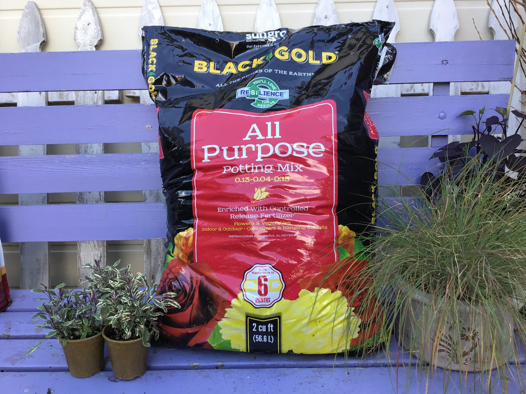 Black Gold All Purpose Potting Mix - 8 quart