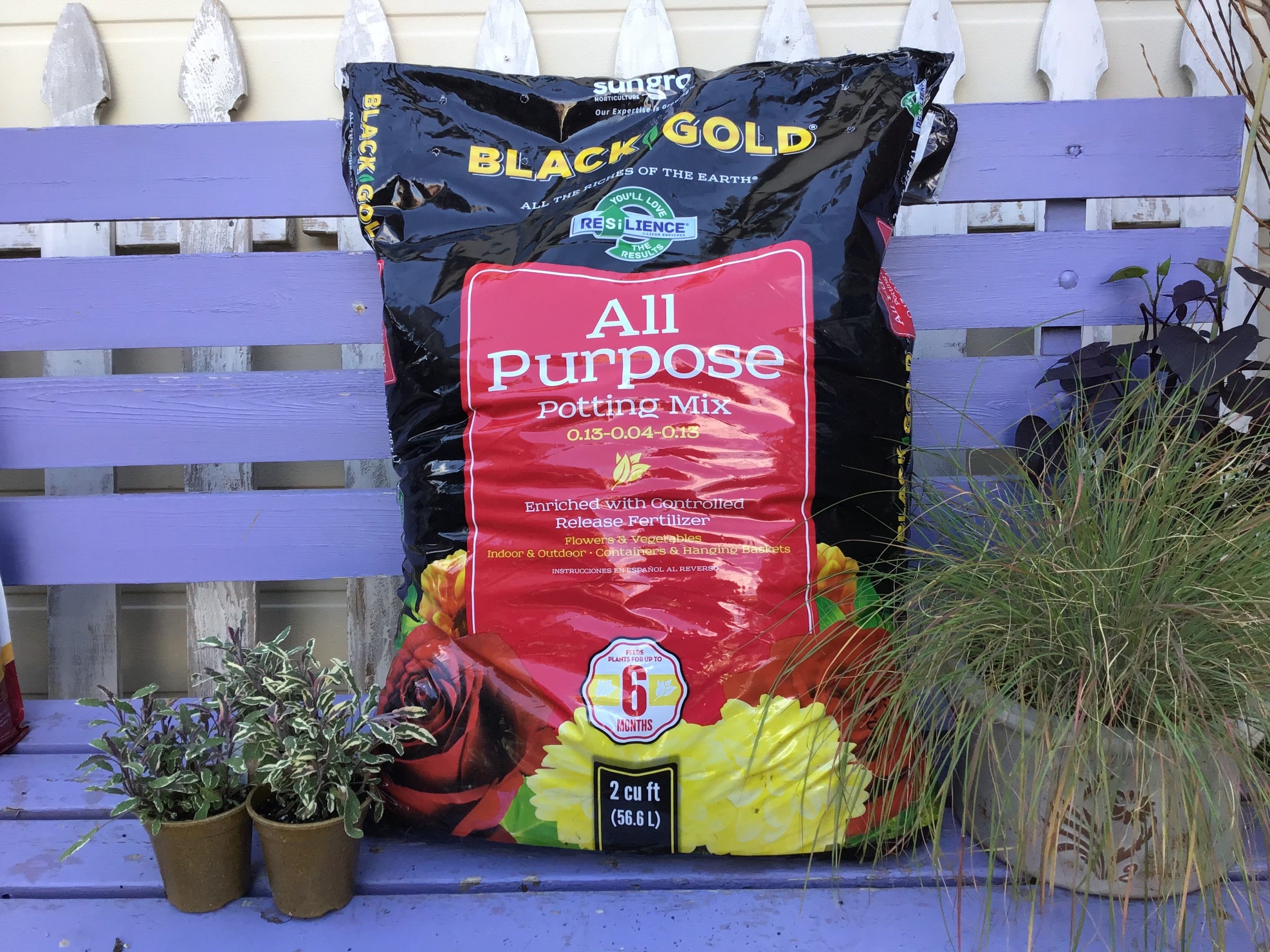 Black Gold All Purpose Potting Mix