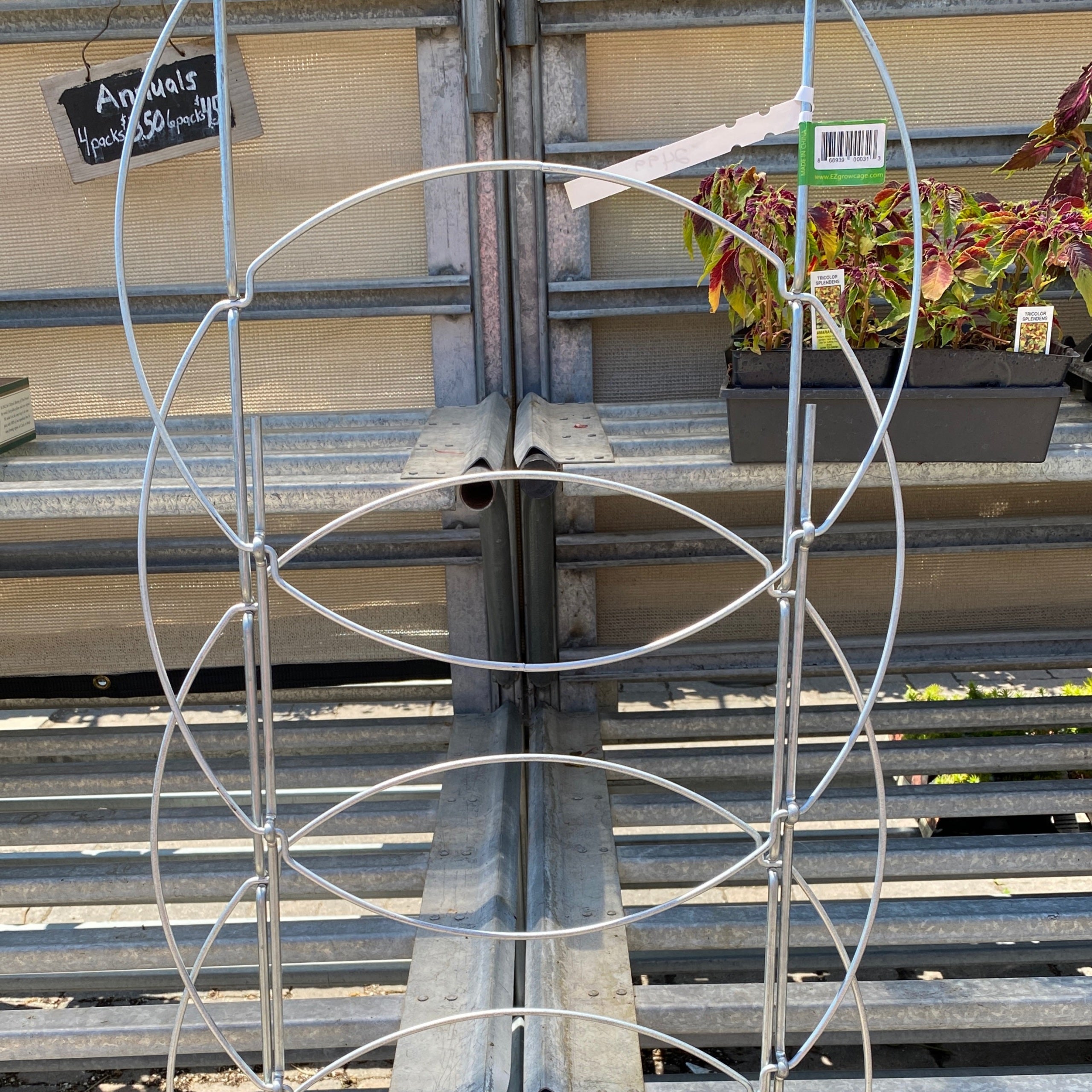 Tomato Cages
