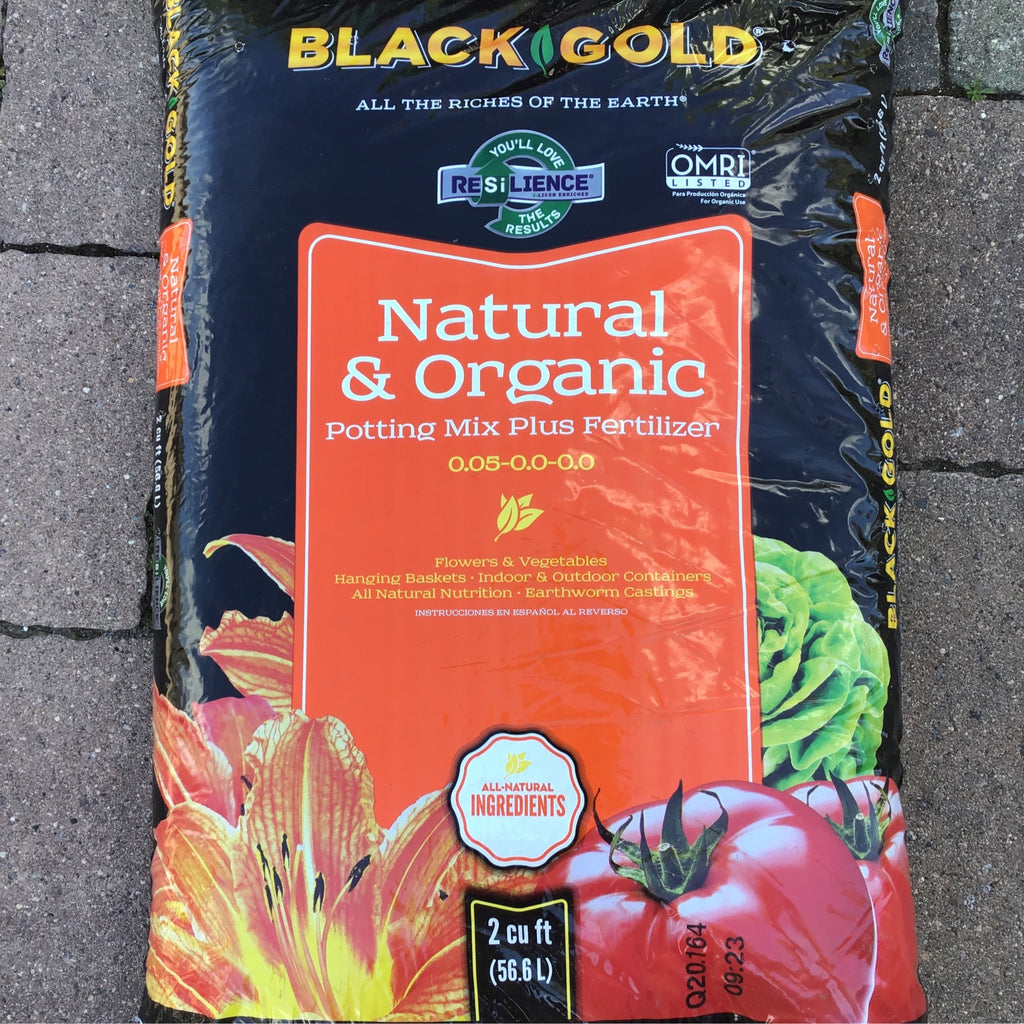Black Gold Organic Potting Soil