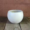 Cream Round Ceramic Pot