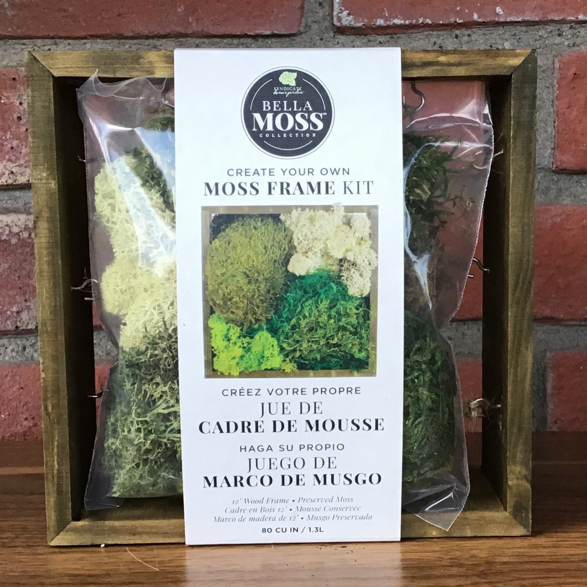 Create Your Own Moss Frame Kit