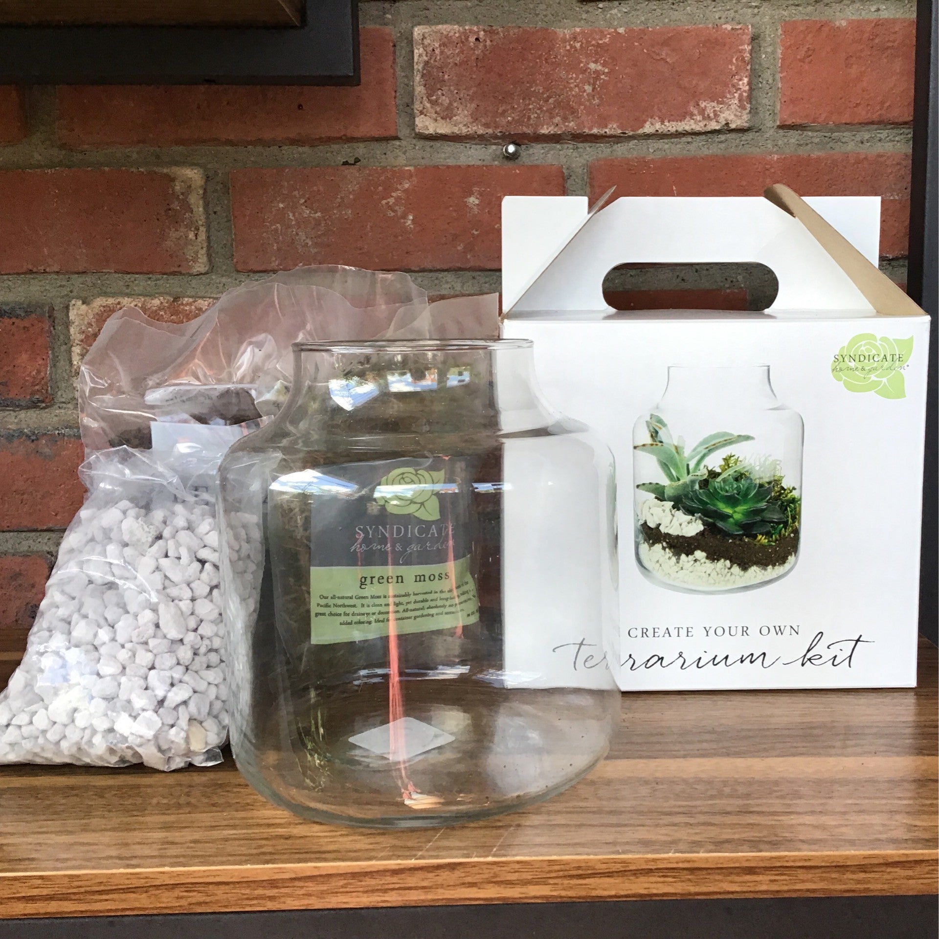 Create Your Own Terrarium Kit