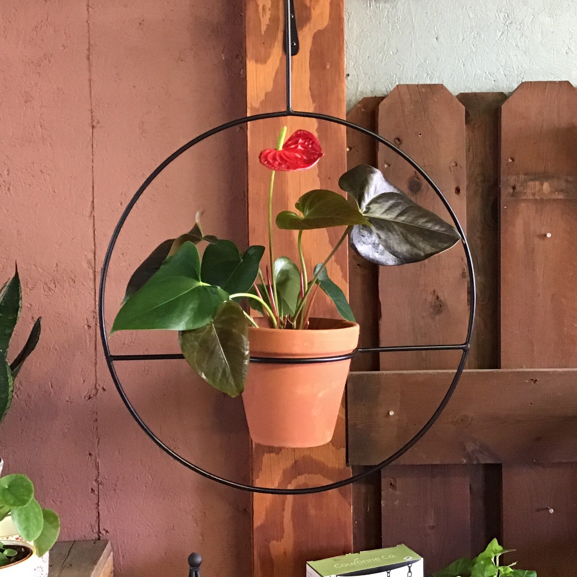 Hanging Metal Circle Hanger With Terra Cotta Pot