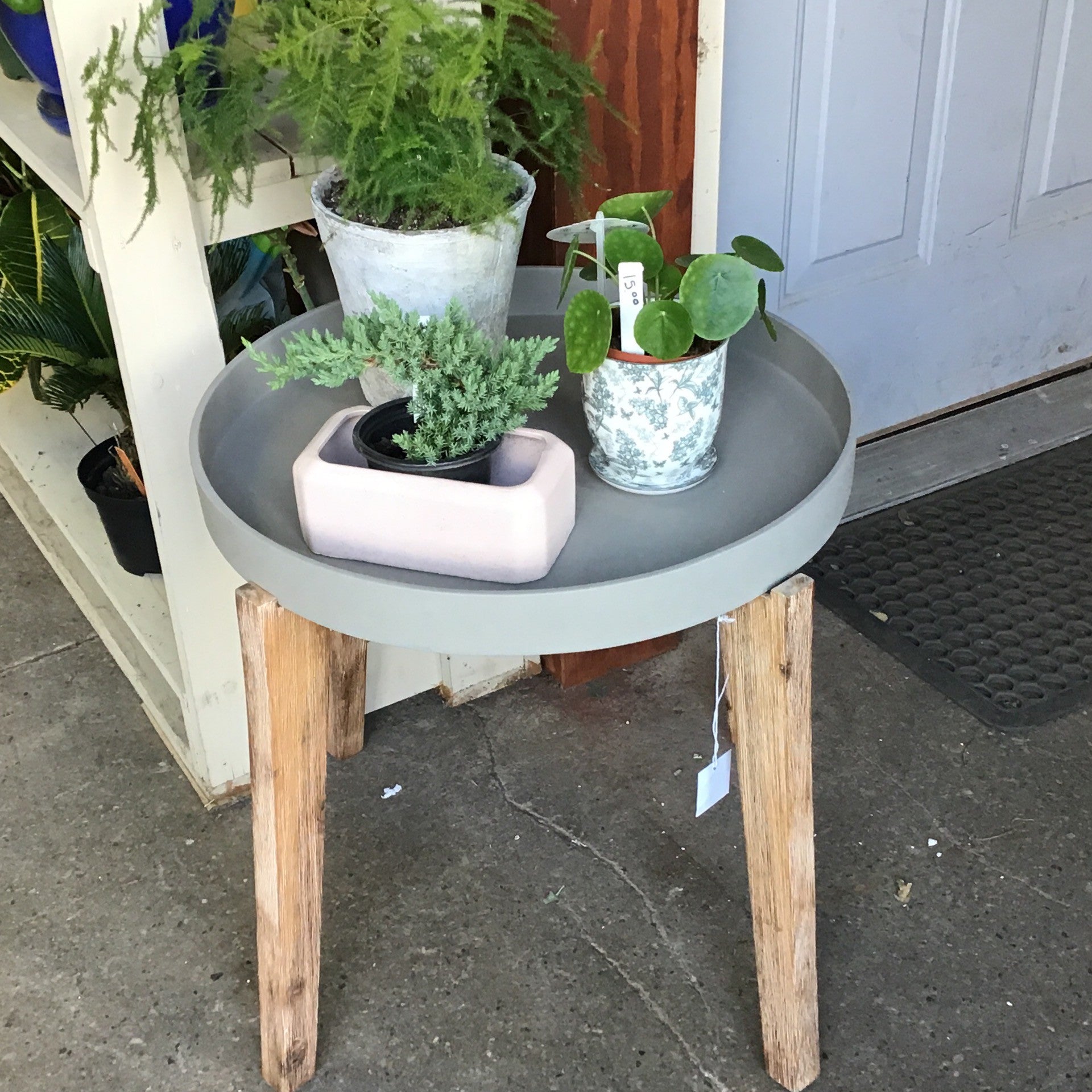 Westwood Plant Stand 24”X20”