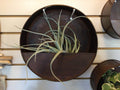 Bailey Metal Wall Hanger Large 12"X12"
