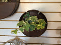 Bailey Metal Wall Hanger Small 8"X3.5"