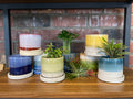 Chive Minute Mini Pot & Saucer - Green Layers