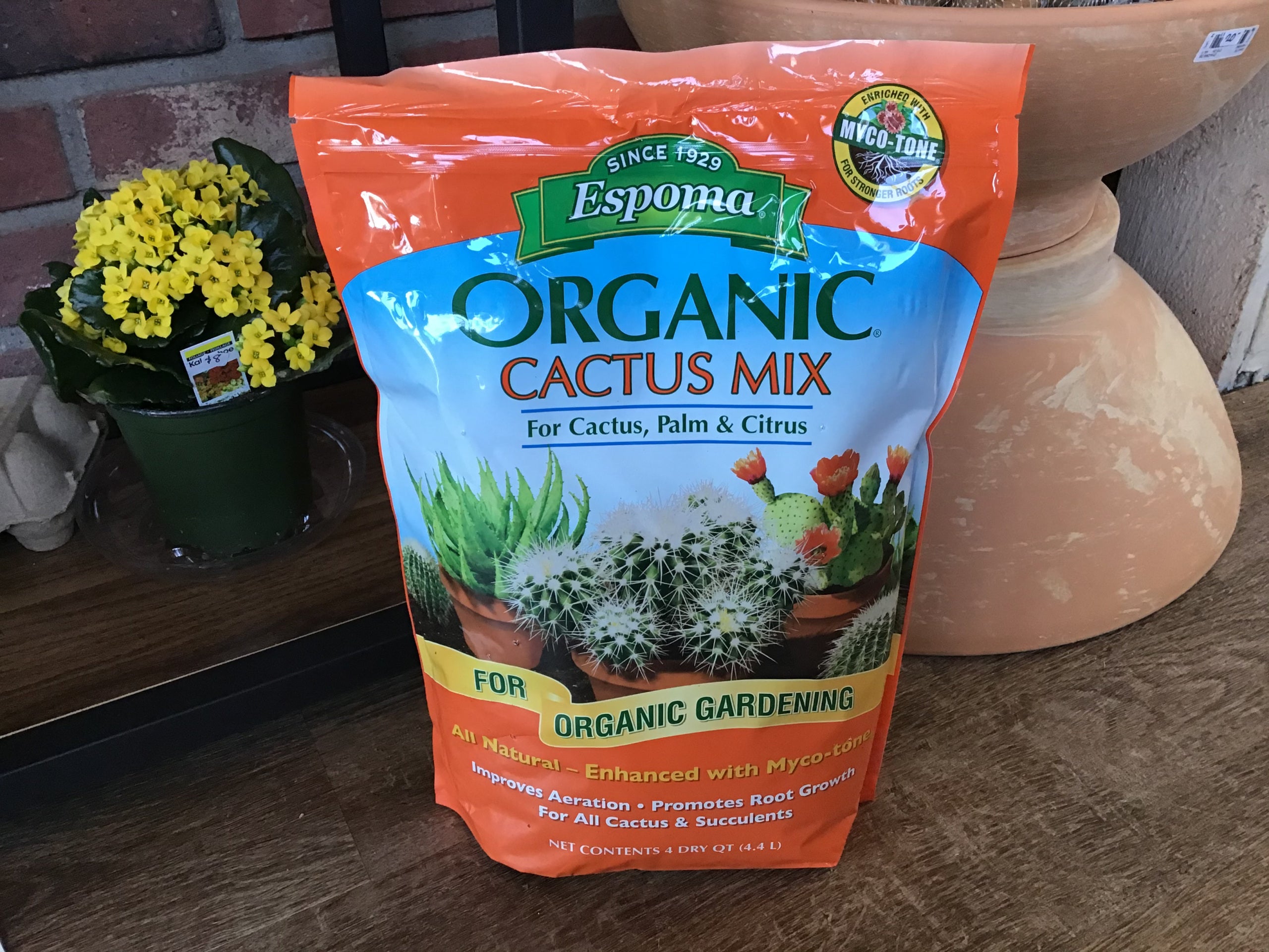 Espoma Cactus Mix 4Qt