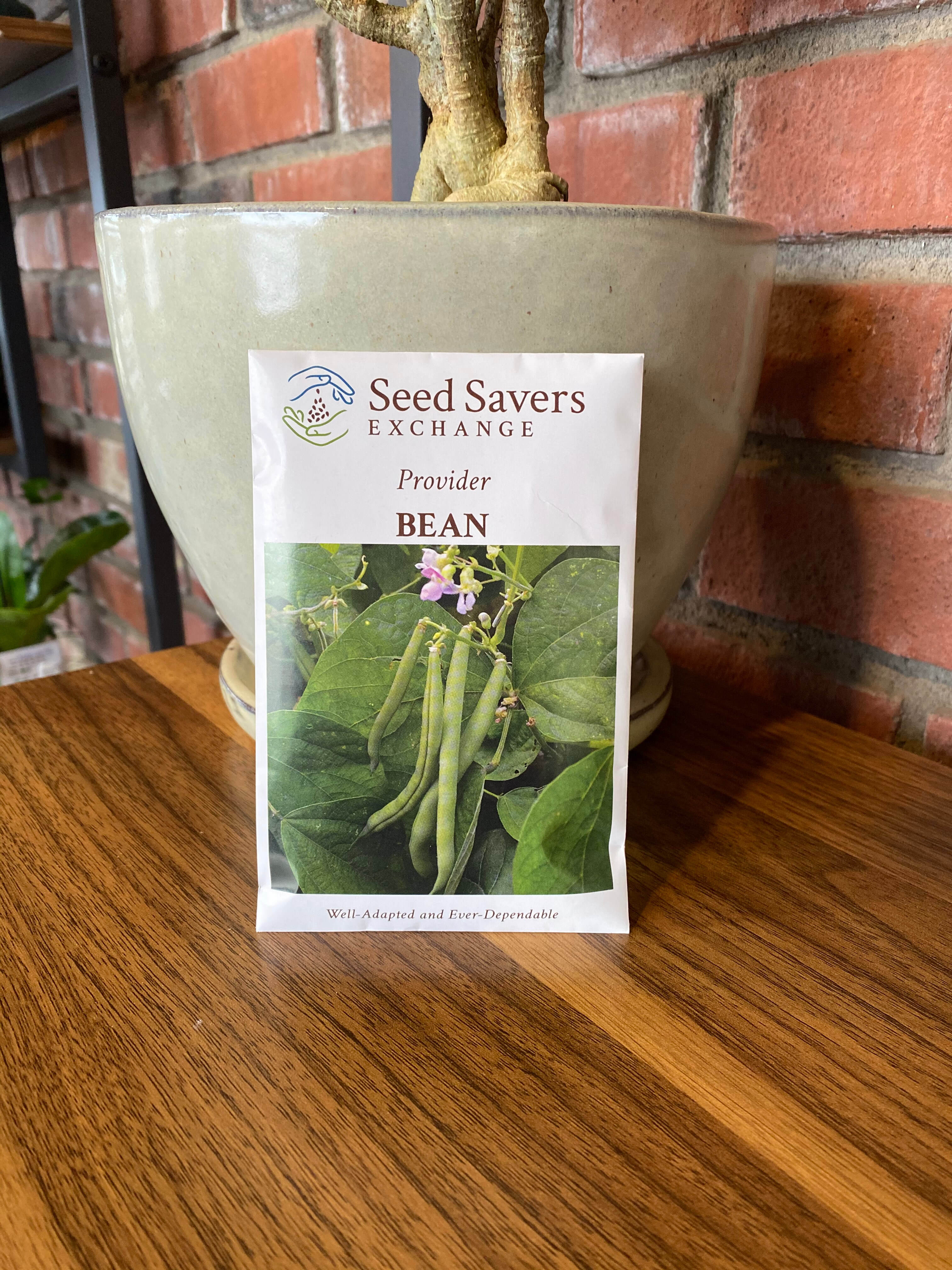 Bean Provider