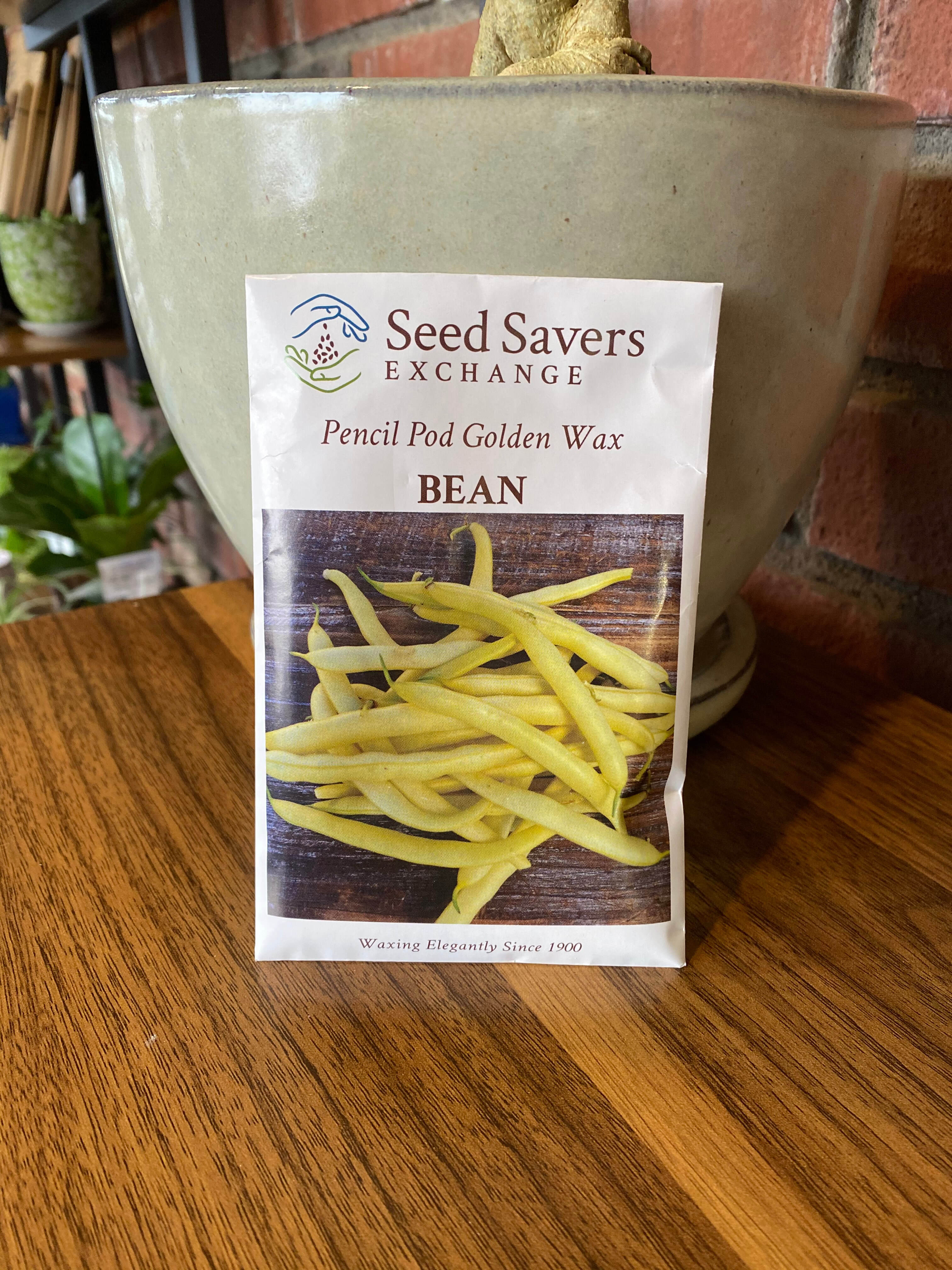 Bean Pencil Pod Golden Wax