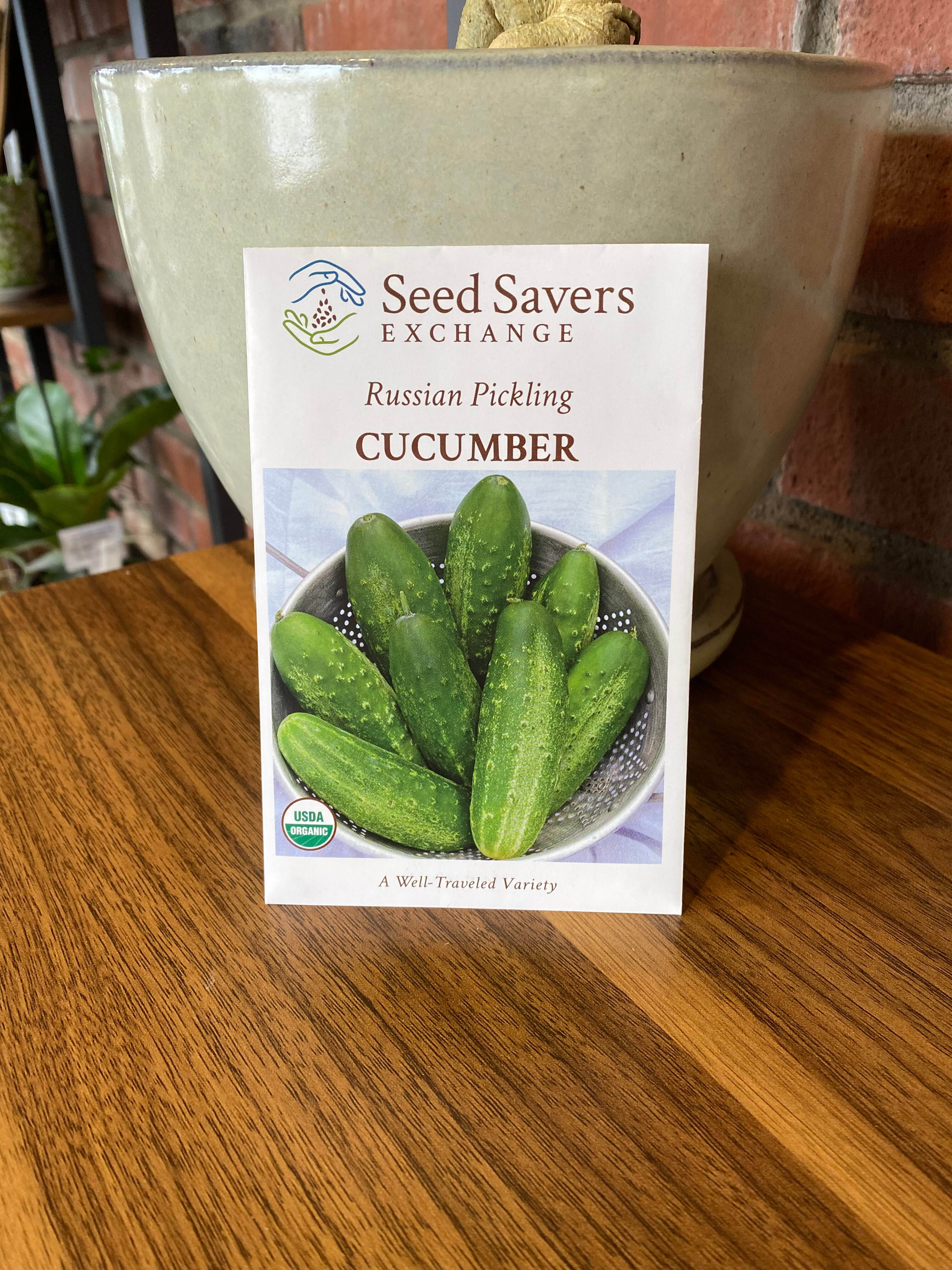 Cucumber Russian Pickling Organic