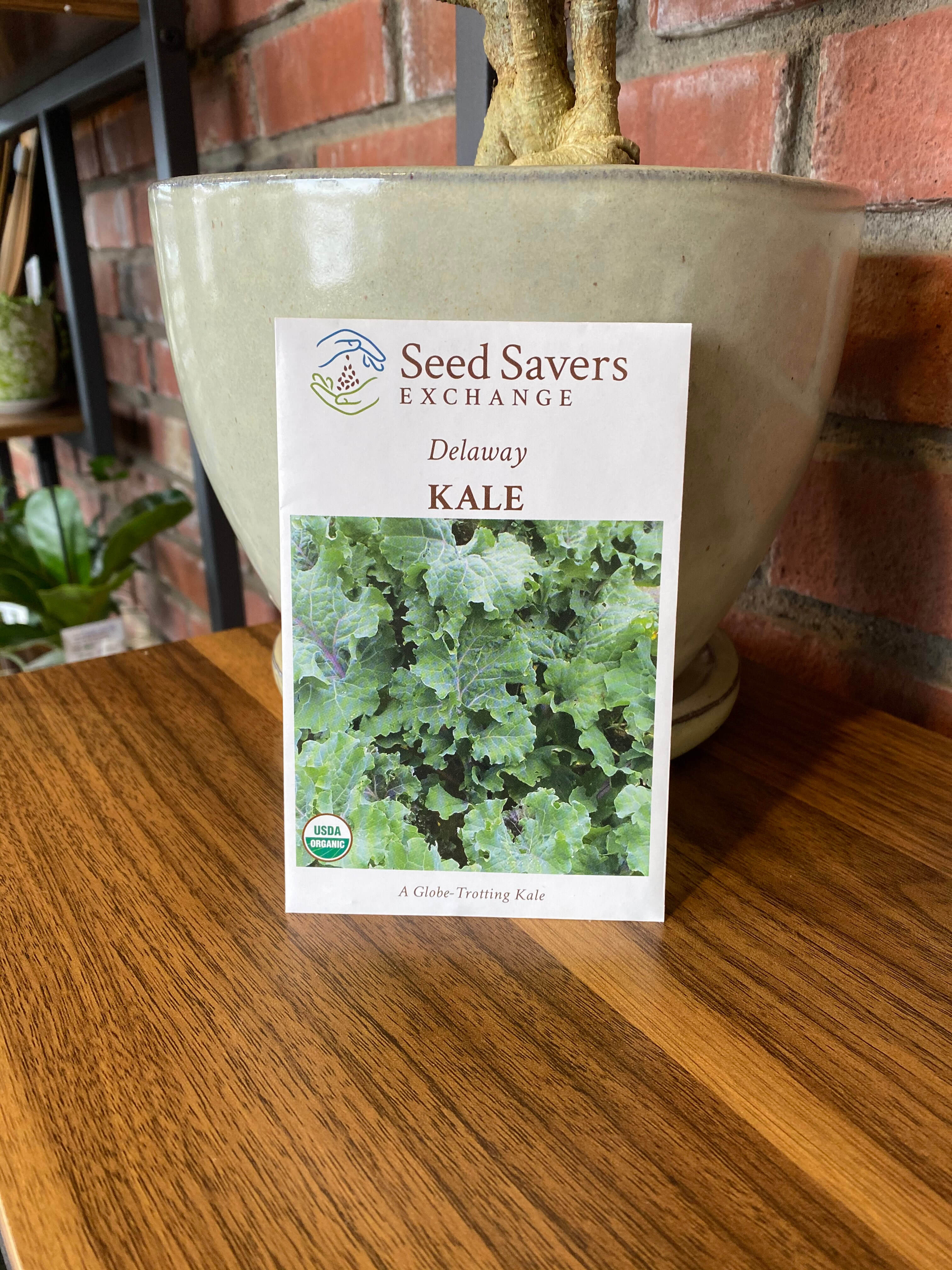 Kale Delaway Organic