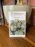 Kale Red Russian Organic
