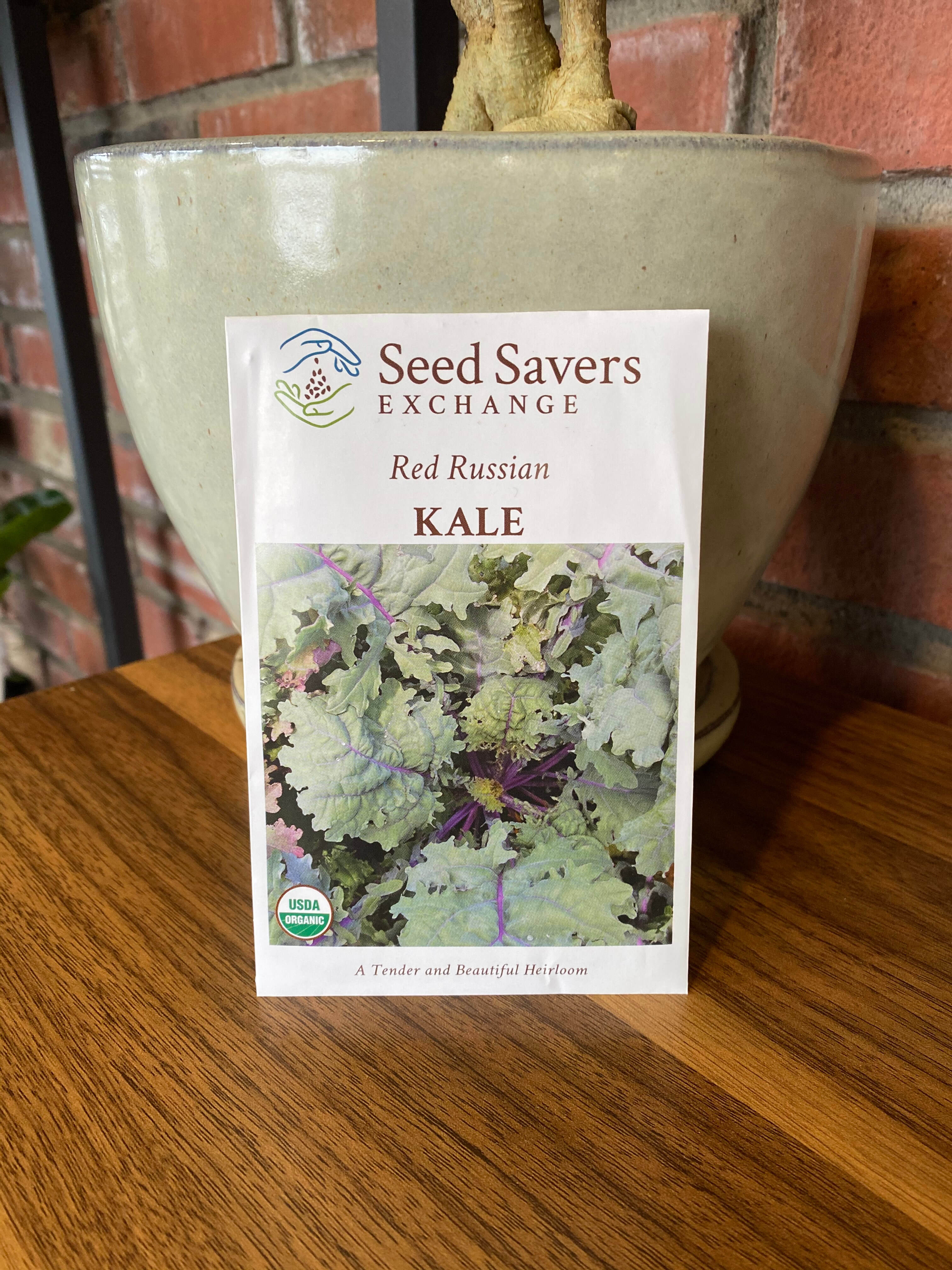Kale Red Russian Organic