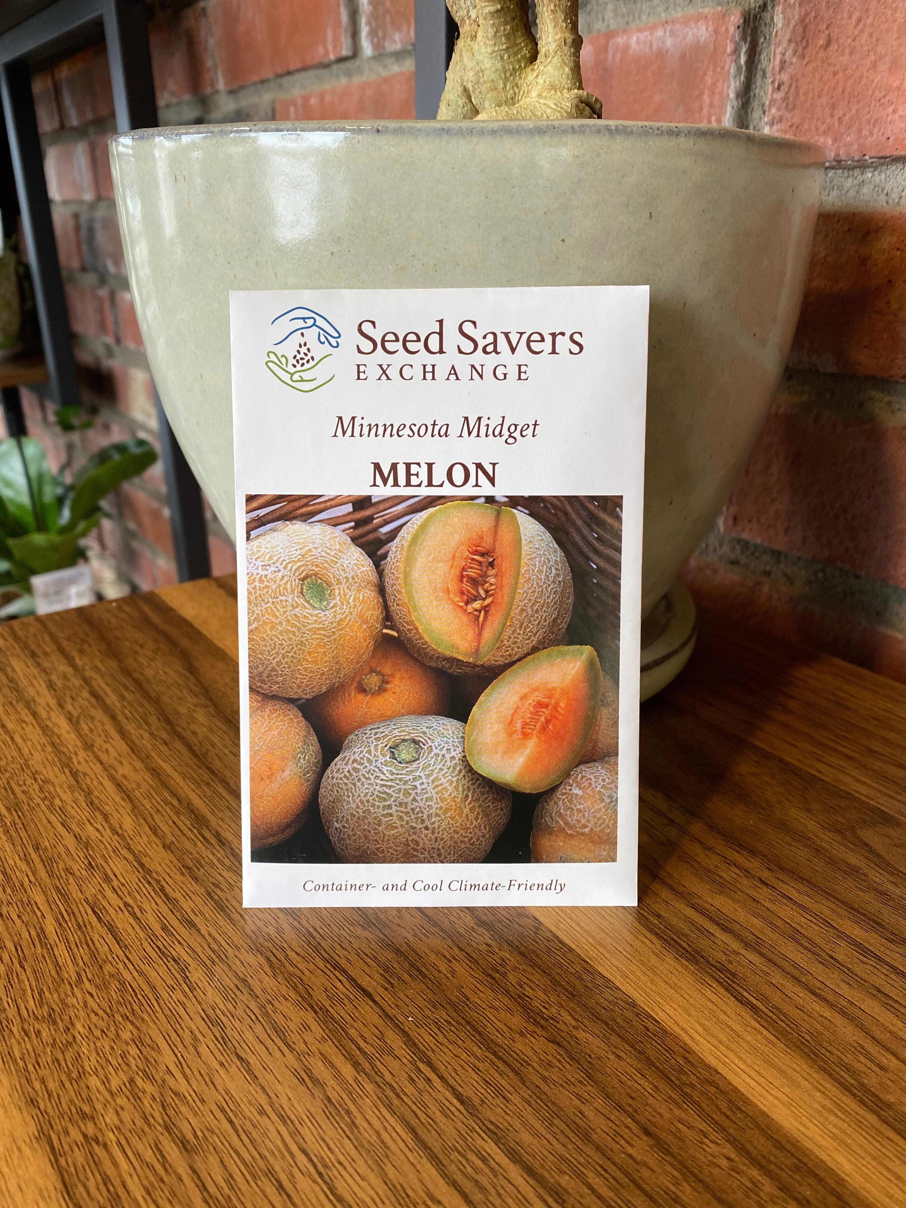 Melon Minnesota Midget