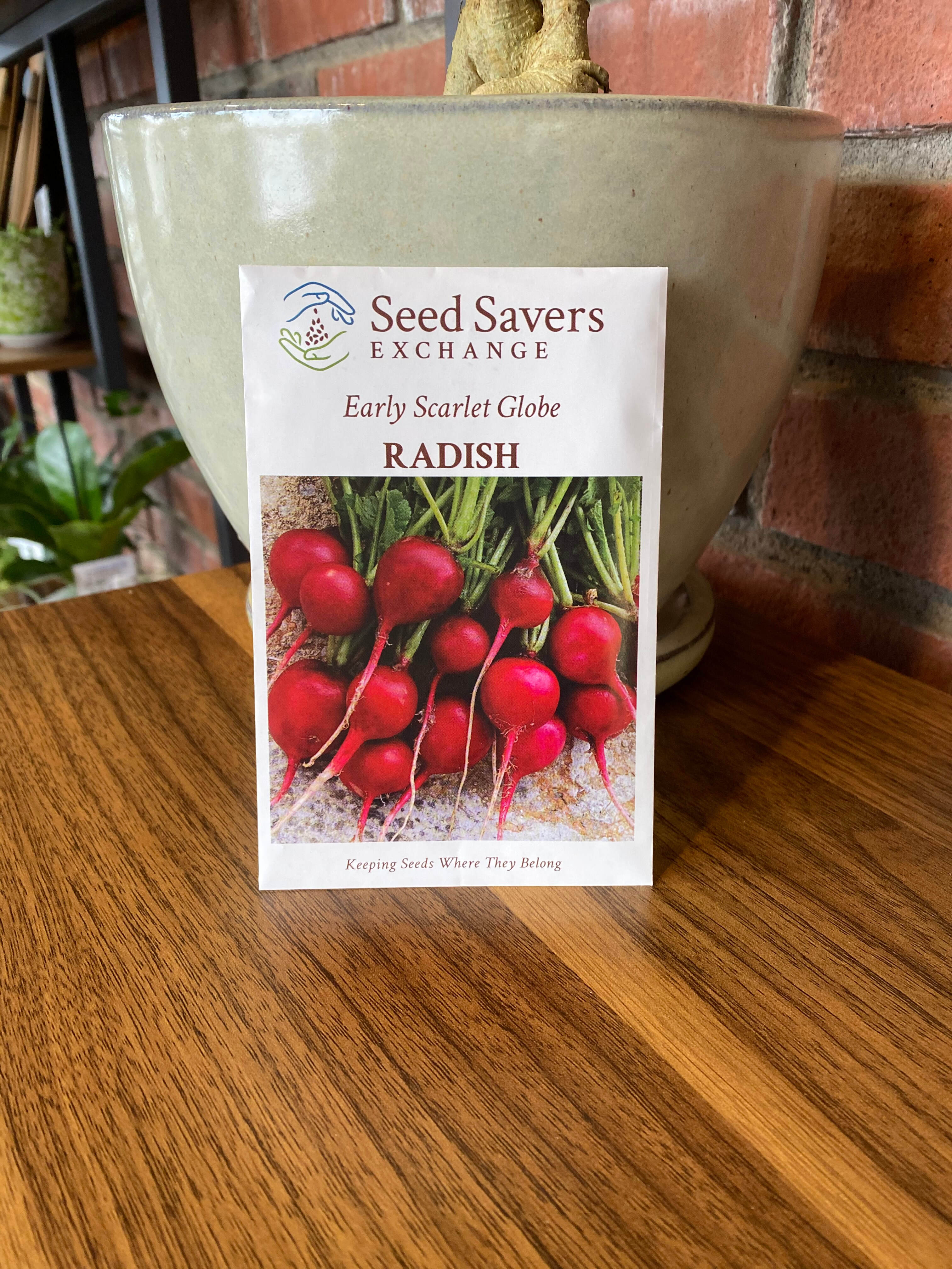 Radish Early Scarlet Globe