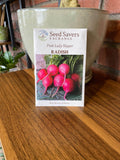 Radish Pink Lady Slipper