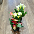 Calla Lily