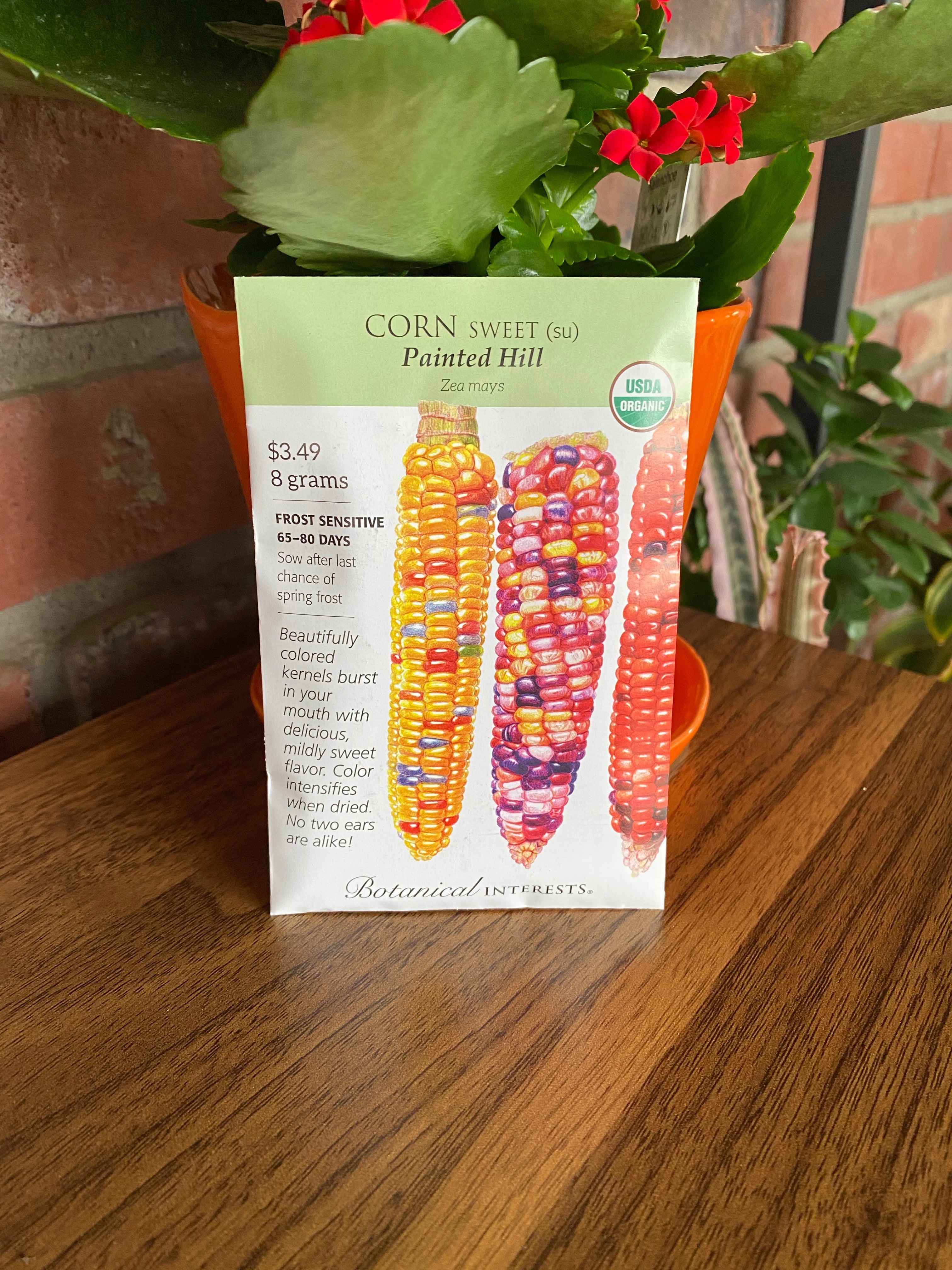 Corn, Sweet Painted Hill Organic