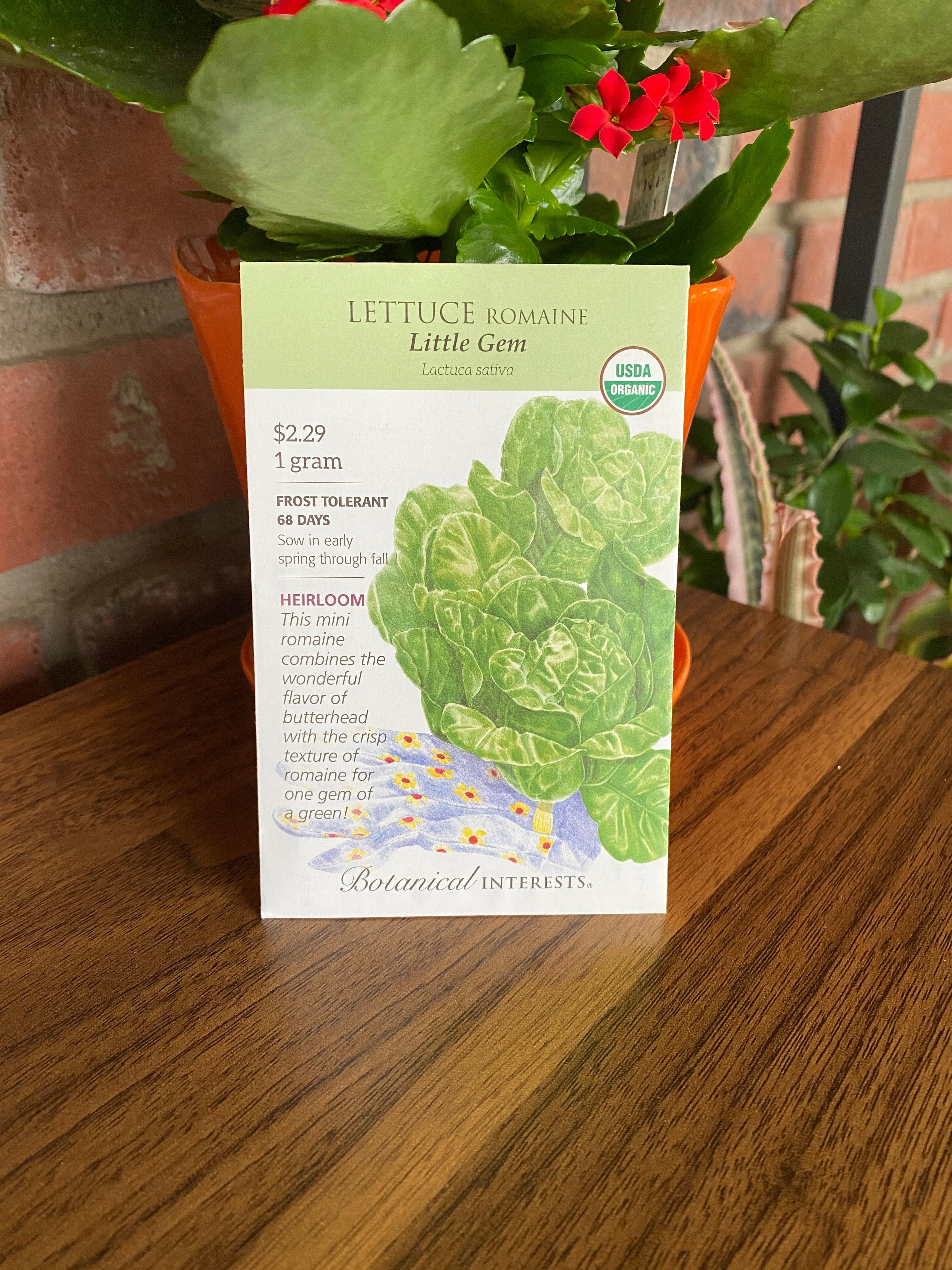 Lettuce Romaine Little Gem Organic