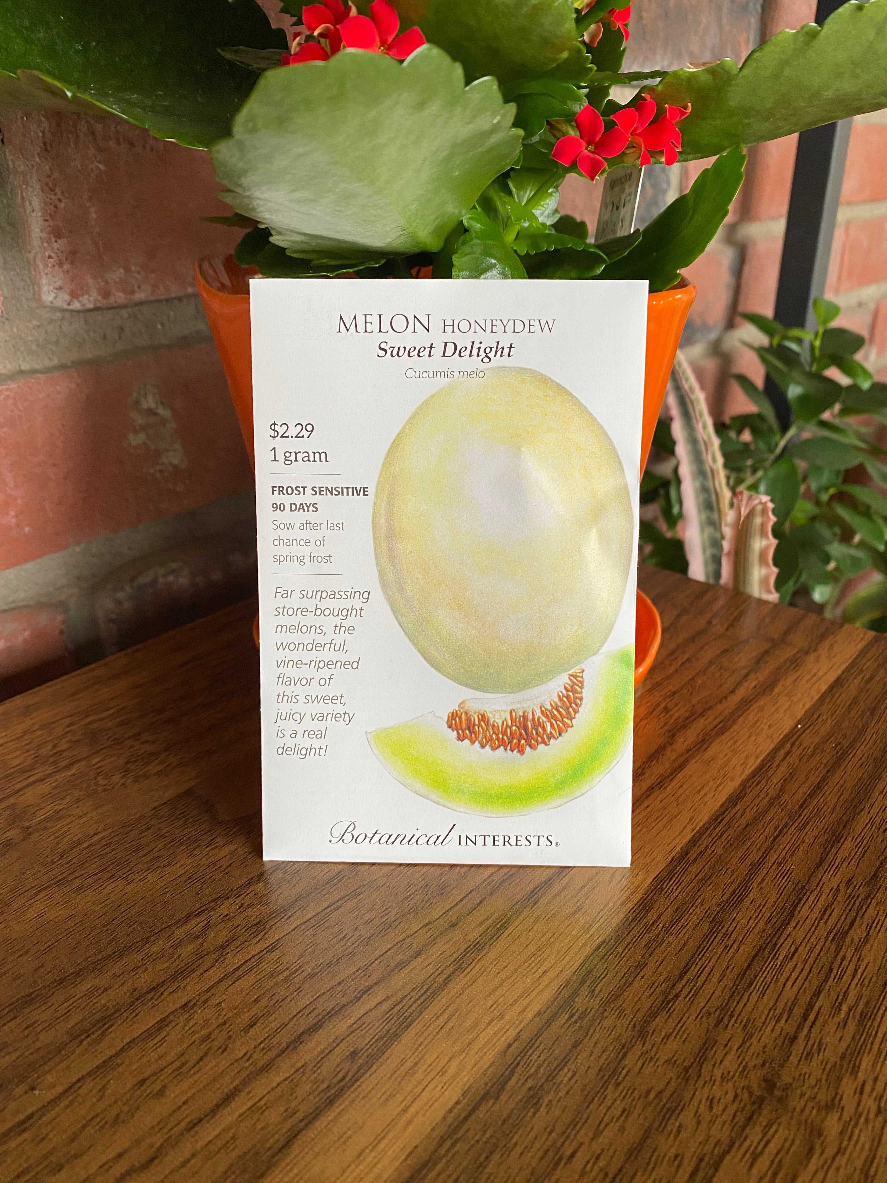 Melon Honeydew Sweet Delight