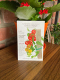 Tomato Pole Cherry 'Gardener's Delight'