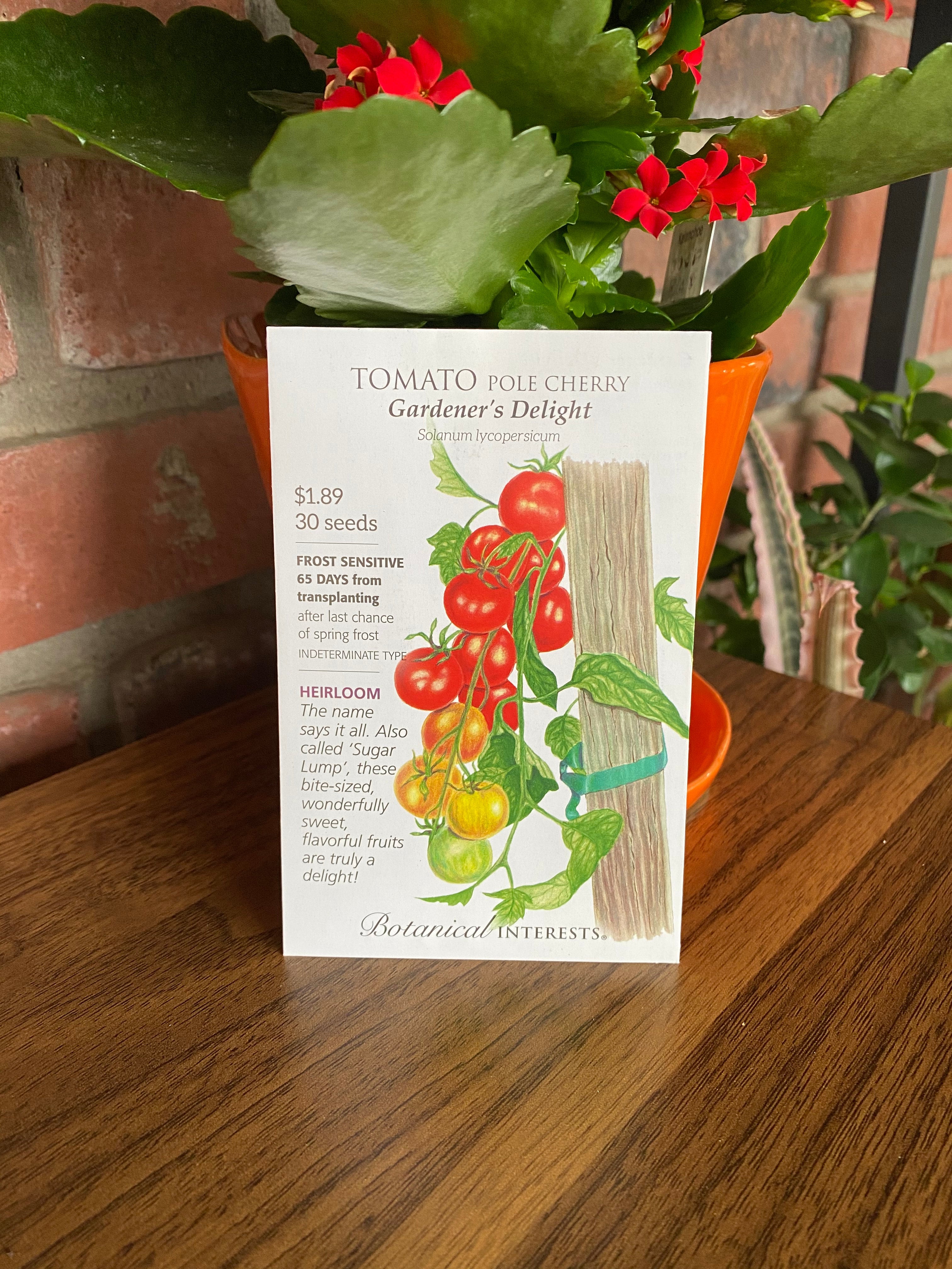 Tomato Pole Cherry 'Gardener's Delight'
