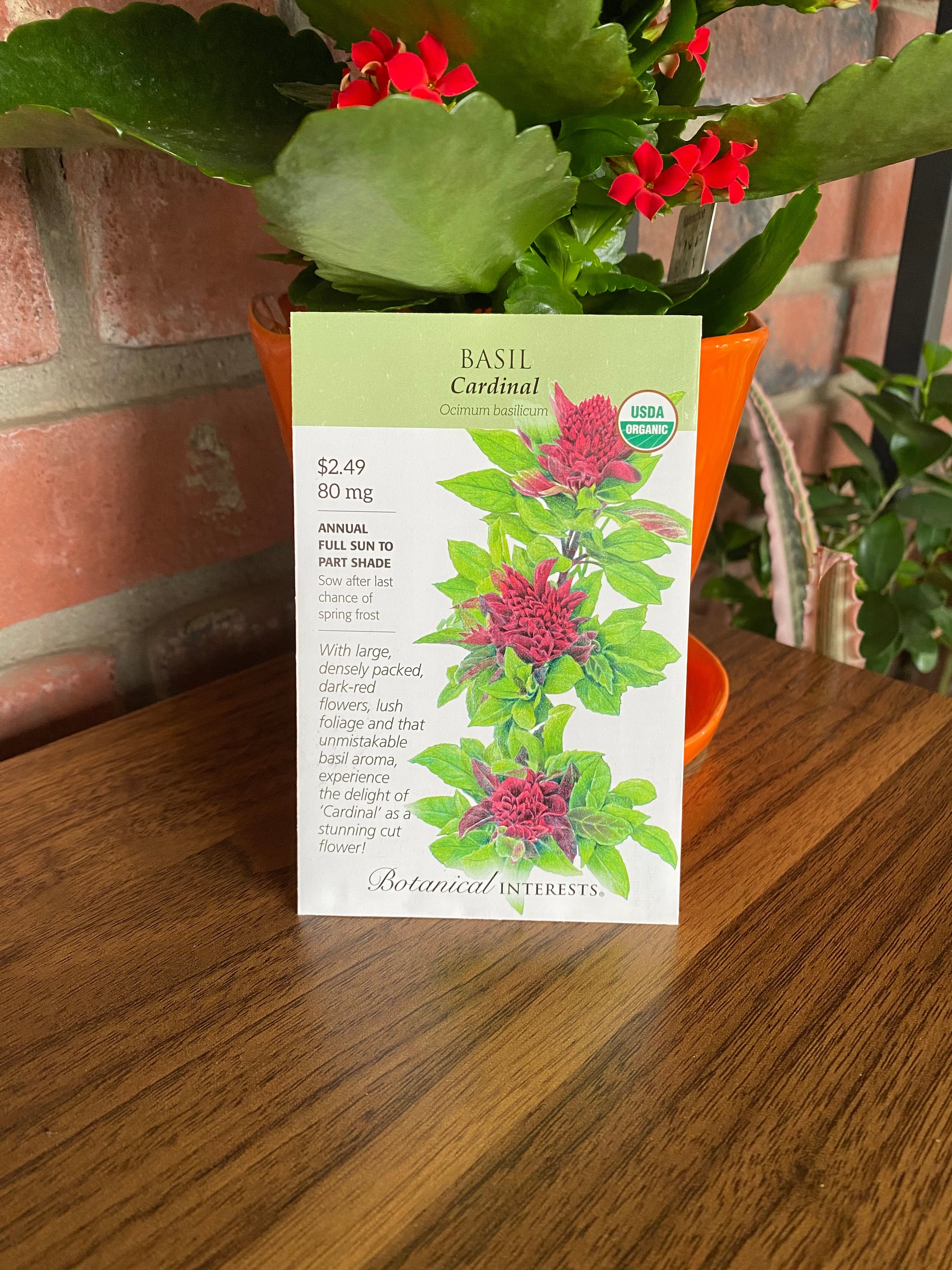 Basil 'Cardinal' Organic