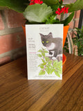 Catnip